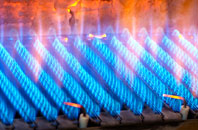 Newton Of Balcormo gas fired boilers